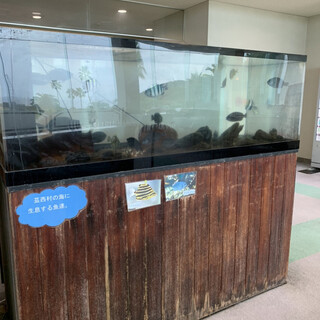 Kochi黒潮カントリークラブ_2