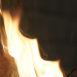 ペレグリーノ - 