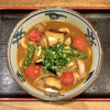 Kushikatsu Dengana - 季節の野菜カレーうどん ¥780