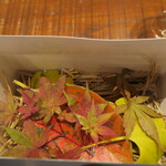 傳 - 傳タッキー