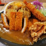 トラックターミナル食堂 - 桜島カレー