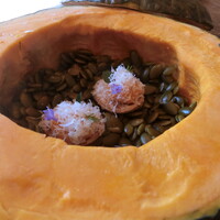 Terroir愛と胃袋 - かぼちゃ