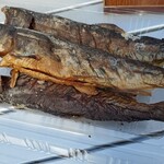 高水山源流の釣り堀 古民家 - 