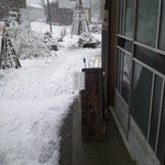 春紀 - 小上がり側入口