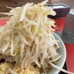 ラーメン もっけだの - ラーメン普通ニンニクマシマシヤサイマシマシ+味玉のヤサイ