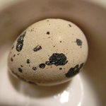 ３丁目のカレー屋さん  - 牡蠣とアサリのカレー雑炊 1400円 のうずらの卵