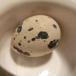 ３丁目のカレー屋さん  - 牡蠣とアサリのカレー雑炊 1400円 のうずらの卵