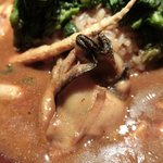 ３丁目のカレー屋さん  - 牡蠣とアサリのカレー雑炊 1400円