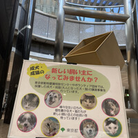 ロビーラウンジ 「マーブルラウンジ」 ヒルトン東京 - 