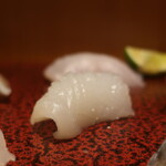 こころや - アオリイカ