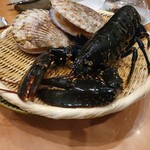 SUGALABO - オマールブルーと帆立