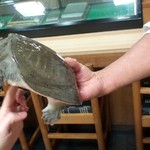 元福 - さわるとかまれますので注意