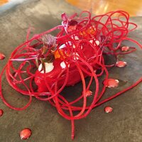 Terroir愛と胃袋 - 