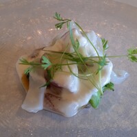 Remede nikaho - いか