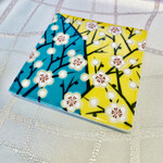 クイントカント - 