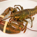 アルフォルトゥーナ - 