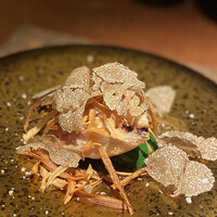 ボッテゴン - 伯耆鶏とトリュフとごぼう