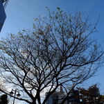 宮城野 - おれの空