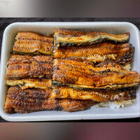 にょろ助 銀座 - 