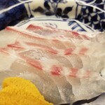 道人 - ③真鯛(兵庫県明石産、朝10時〆)
      旬の今、脂のりが抜群なのですが、テカりを通り越してジューシー！
      コリッ感があり寝かせは浅め、熟成とは異なる仕込みが凄い！