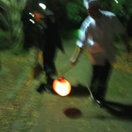 未在 - ピンボケですが、この方が動きが出てますね（笑）　(2012/11)