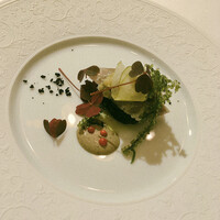 ロドラント ミノルナキジン - 