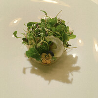 ロドラント ミノルナキジン - 