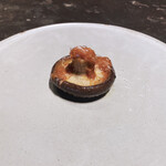 ドンブラボー - 