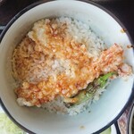 Sobadokoro Ichian - ミニ天丼