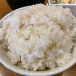 カジュアル食堂 レスト アドル - 