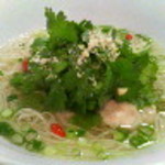 埜庵 - 蒸し鶏とパクチーのアジアンにゅうめん500円*2009.05