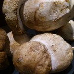 レストラン バカール - 「フレッシュポルチーニ」