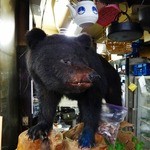 酒蔵新潟 - 熊さんもいるよ！