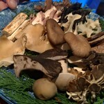 飛騨季節料理 肴 - 