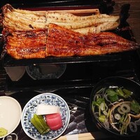 にょろ助 銀座 - 