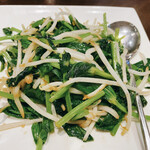 豫園 - 豆苗ともやしの炒め