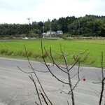 パティスリー アル - 何もない田園風景！