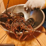 こなす - メンイ食材