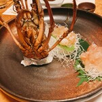 こなす - 伊勢海老のお造り