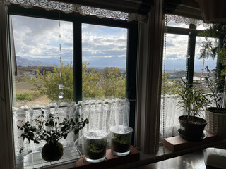 ル・パステ - 店内