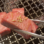 Shinise Seinikuten Chokusou Okazaki Yakiniku Hidagyuunodo Rei - 