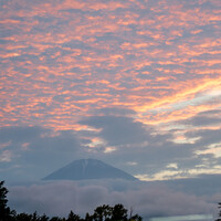 メゾン ケイ - 店内からの景観