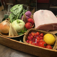 オッジ ダルマット 西麻布店 - 