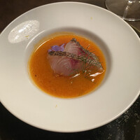 オッジ ダルマット 西麻布店 - 