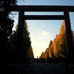 外苑休憩所 - この季節いいですよ♪