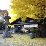 外苑休憩所 - 銀杏の絨毯が美しい