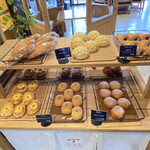 コシキテラス - 