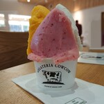 GELATERIA COWCOW - トリプルジェラート 500円