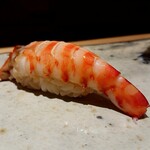 鮨 さいとう - 車海老