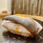 鮨 なんば - コハダ-おぼろのせ-